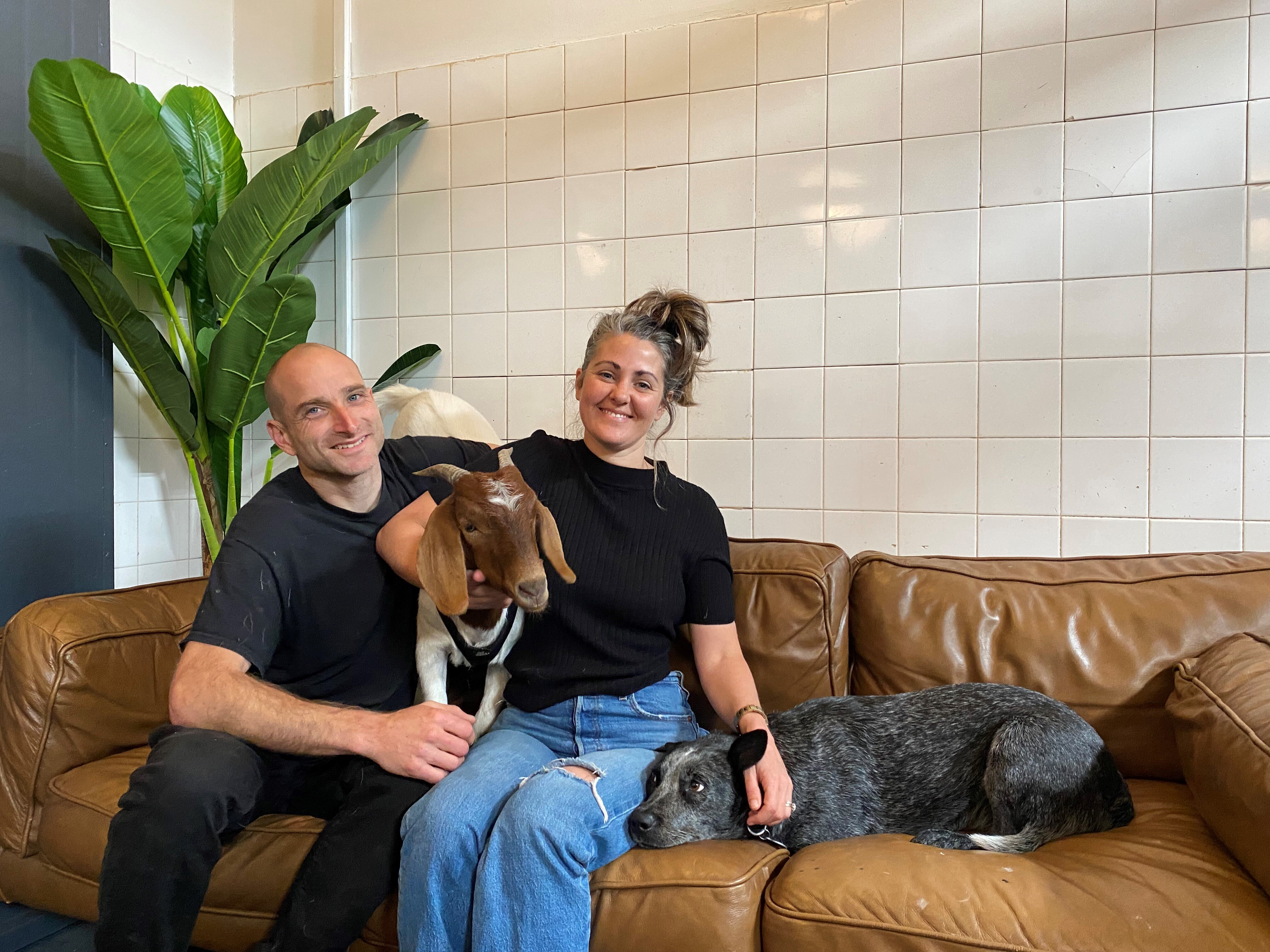 New residents breathe life into isolated town on Tasmania's wild West Coast