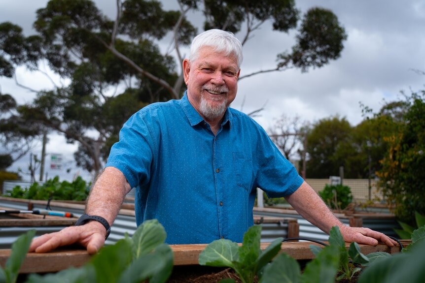 A man with grey hair and a beard wearing a blue button up shirt standing in front of a vegetable gardening smiling. 