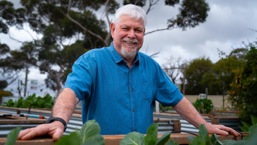A man with grey hair and a beard wearing a blue button up shirt standing in front of a vegetable gardening smiling. 