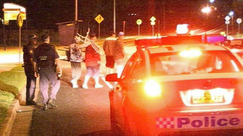 Police believe the brawl was an isolated incident fuelled by alcohol and hot weather.