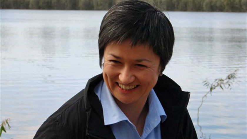 Penny Wong has little time for political rivalries over Murray - file photo