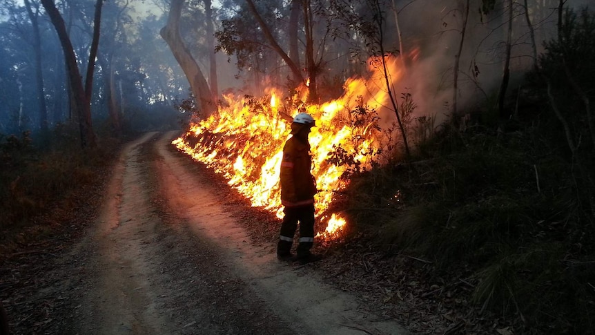 Hazard-reduction burn in Brindabella National Park