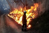 Hazard-reduction burn in Brindabella National Park