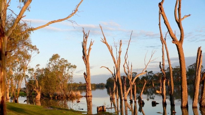 Drought is draining revenue from Riverland tourism operators.