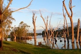 Sunset on the River Murray at Berri in SA