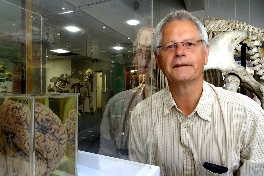 A man next to a glass cabinet containing a brain.