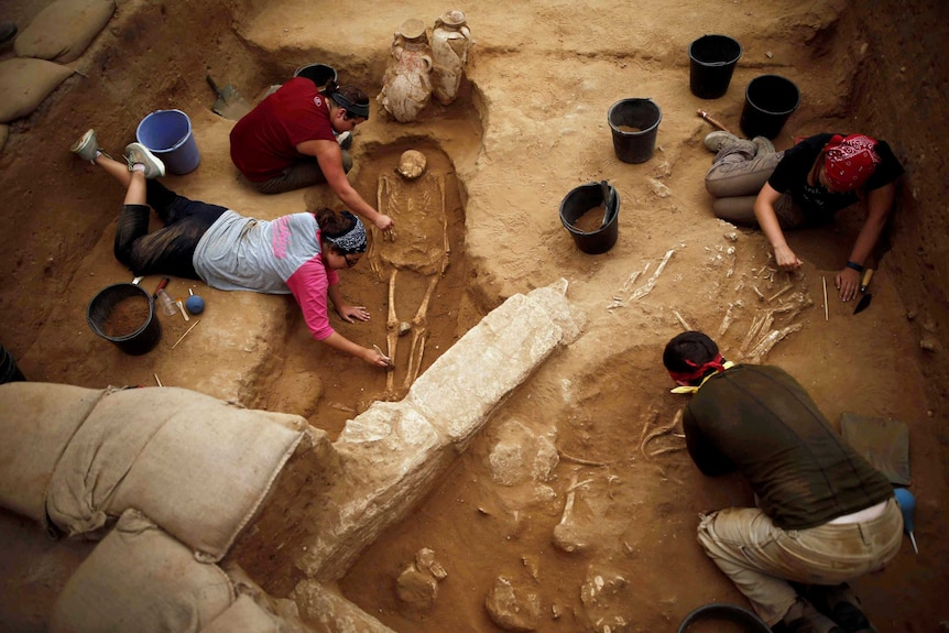 Archeologists dig up Philistine bones