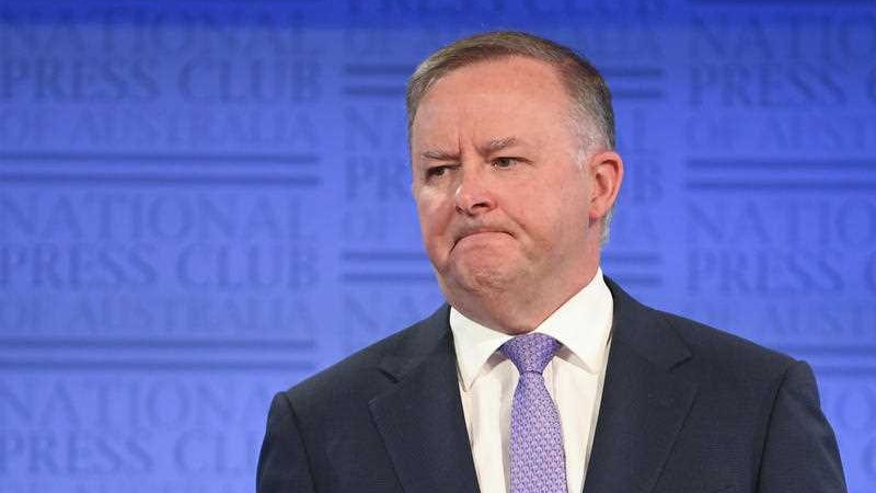 Australian Opposition Leader Anthony Albanese speaks stands behind lectern.