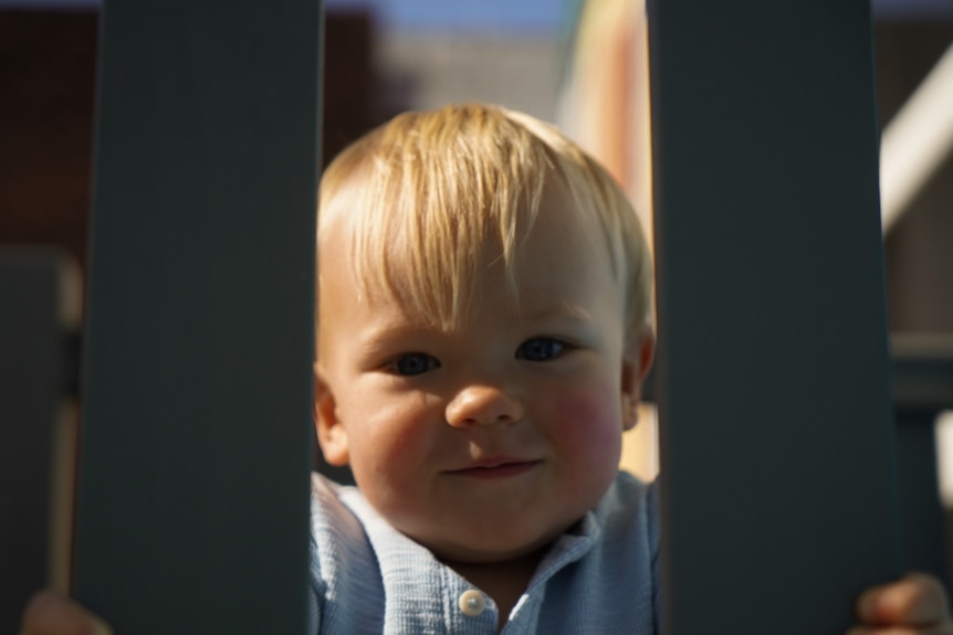 Blonde-haired toddler looking through gate at camera.