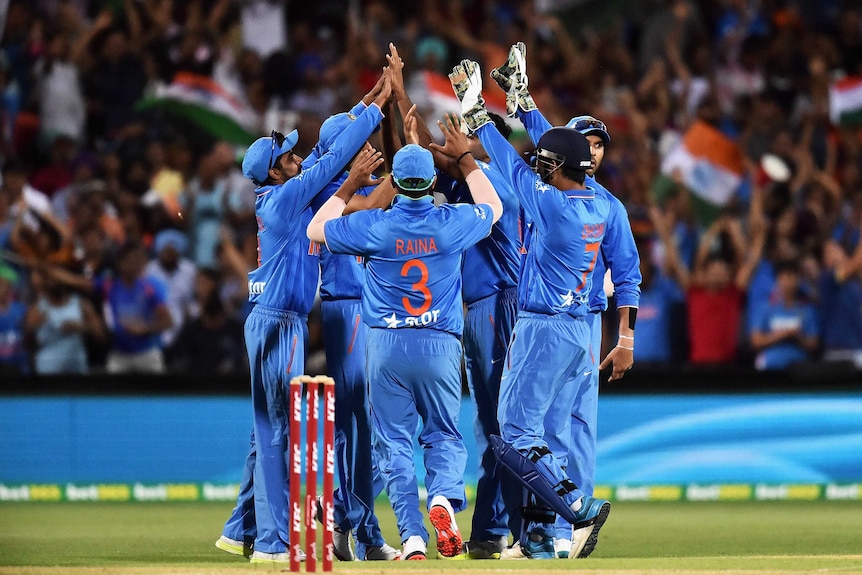 India celebrates a wicket against Australia