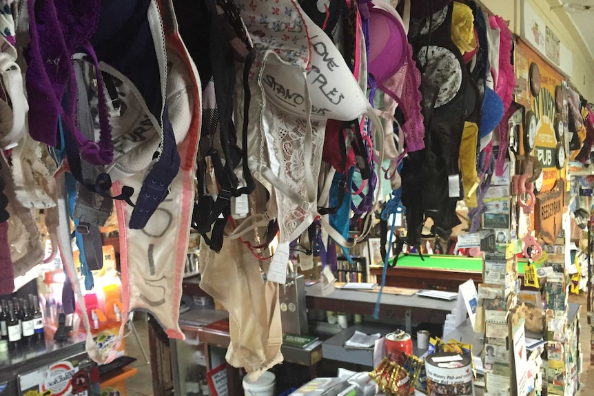 Bras hang from ceiling of pub