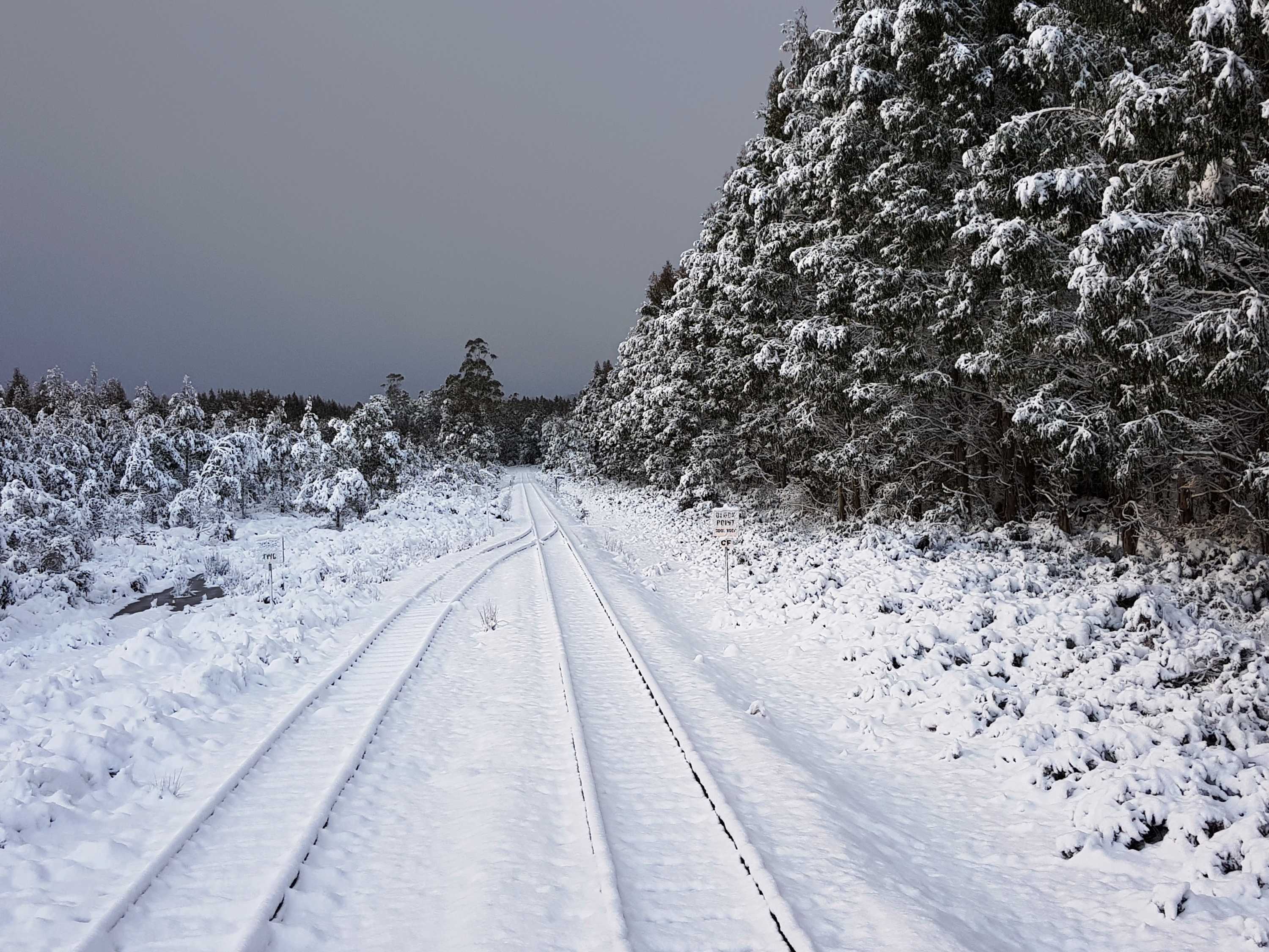 More freezing conditions to come as parts of Tasmania turn white in