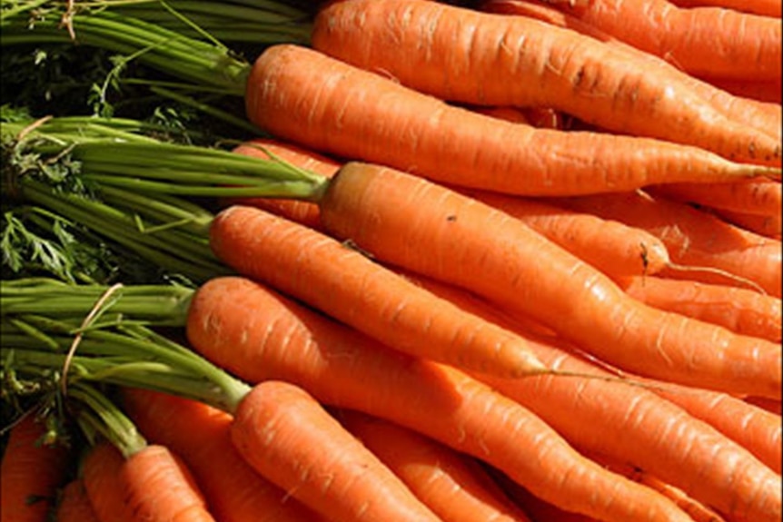 Carrots