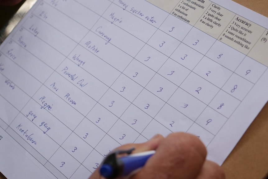 Close up of scoring sheet with bird calls and scores