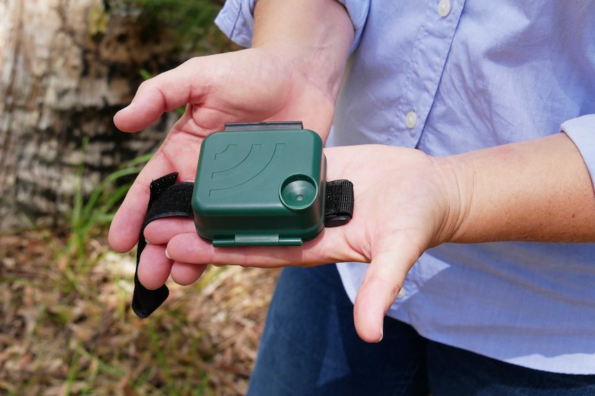 A small green box with a velcro strap attached.