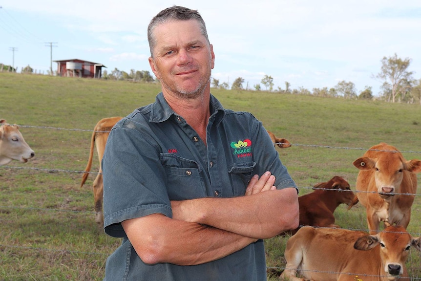 Ipswich farmer Jon Carmichael