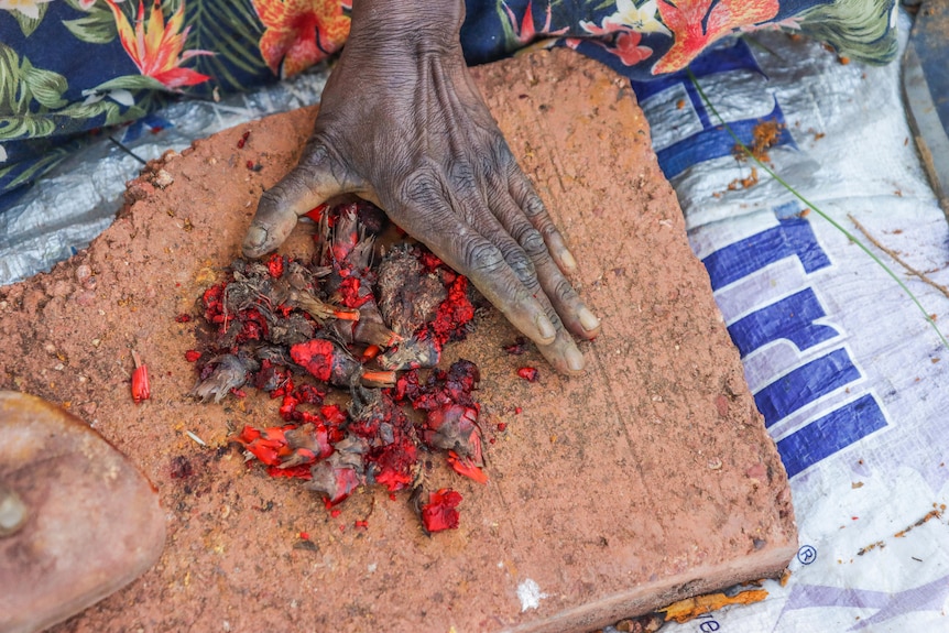 A Burarra woman crushes coloured roots with a rock to prepare them for dyeing.