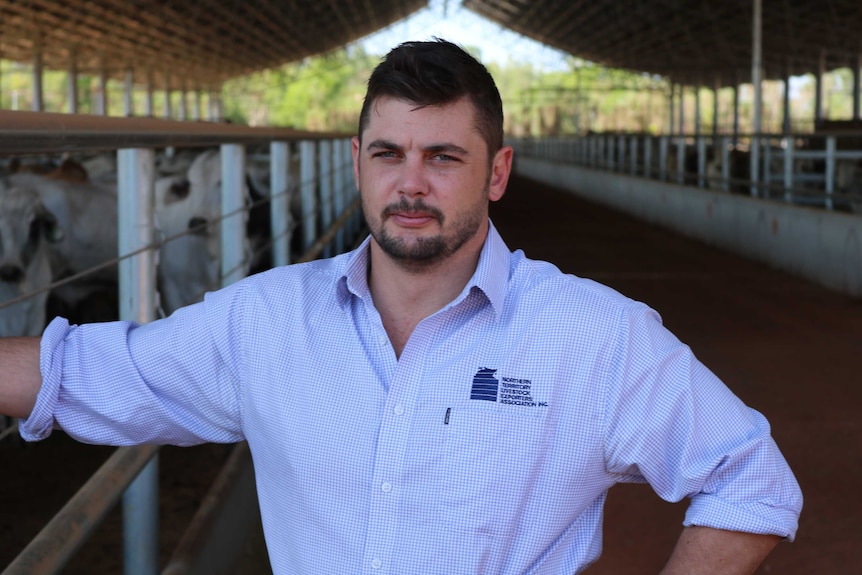 Will Evans at the Berrimah Export Yards