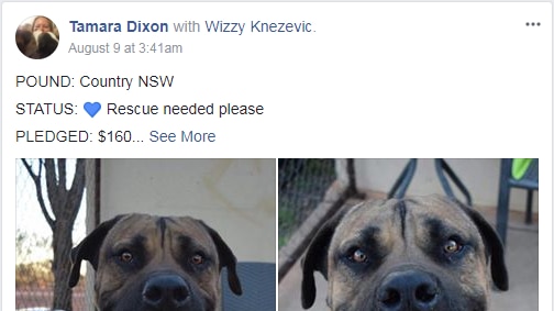 Example of Rural Pound Aid Facebook post seeking community assistance in rehoming dogs.