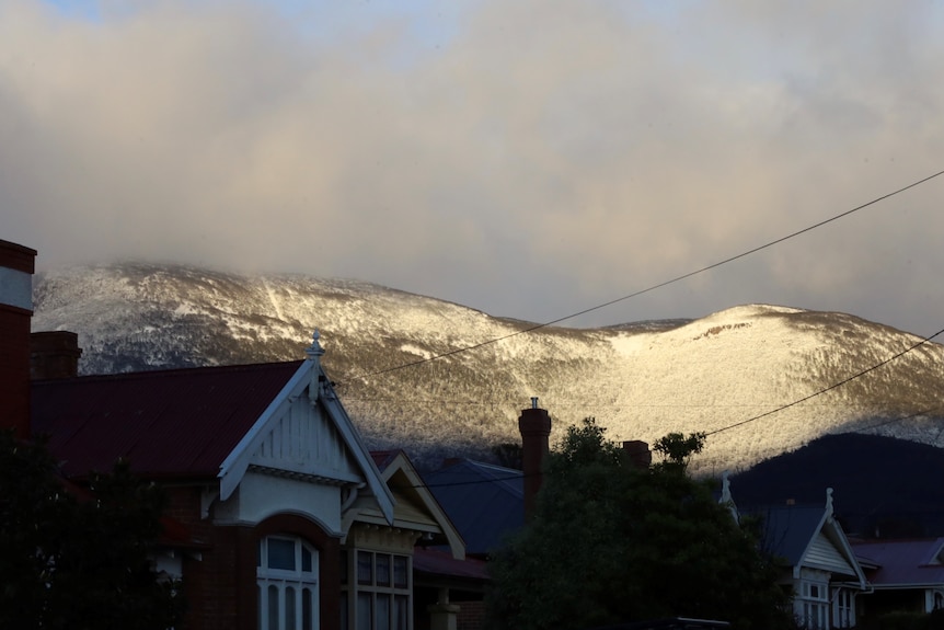 kunanyi/Mt Wellington snow, seen from North Hobart. August 2021.