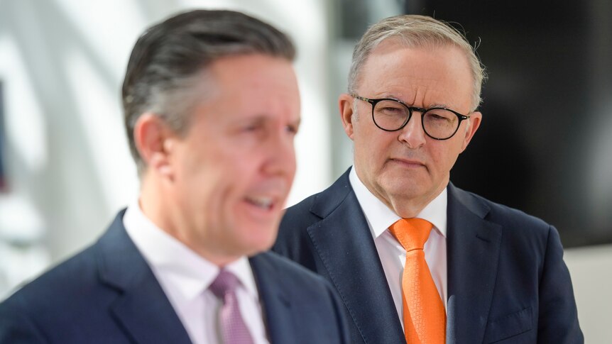 Anthony Albanese looks at an out of focused Mark Butler. 
