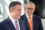 Anthony Albanese looks at an out of focused Mark Butler. 