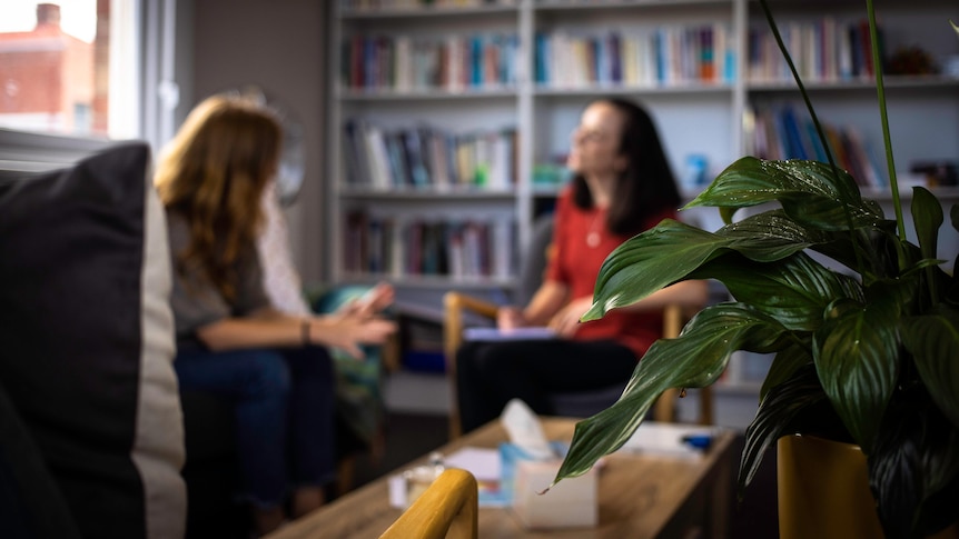 Two women sit in front of a bookshelf and talk. A plant is in the foreground. 
