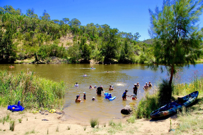 People swimming at a waterway in the bush on a sunny day.