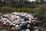 100 used nappies dumped in Darwin's rural area