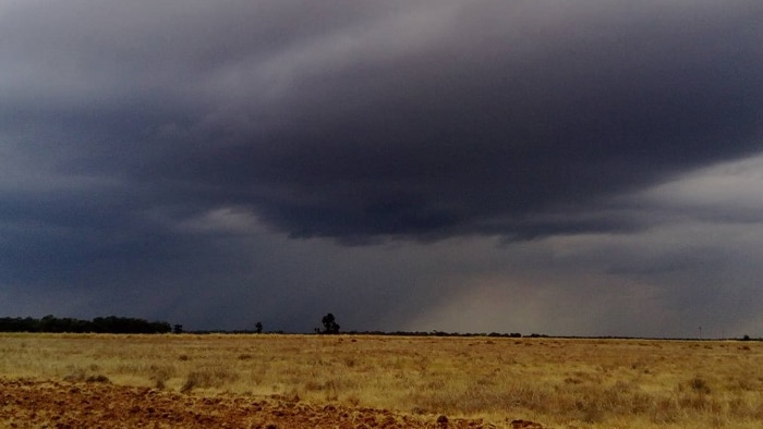 Big storm cloud over dry paddock at Darlington Point, NSW.