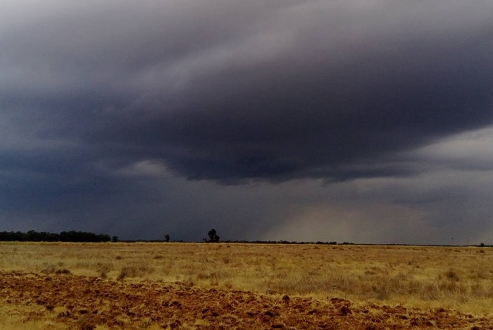 Big storm cloud over dry paddock at Darlington Point, NSW.