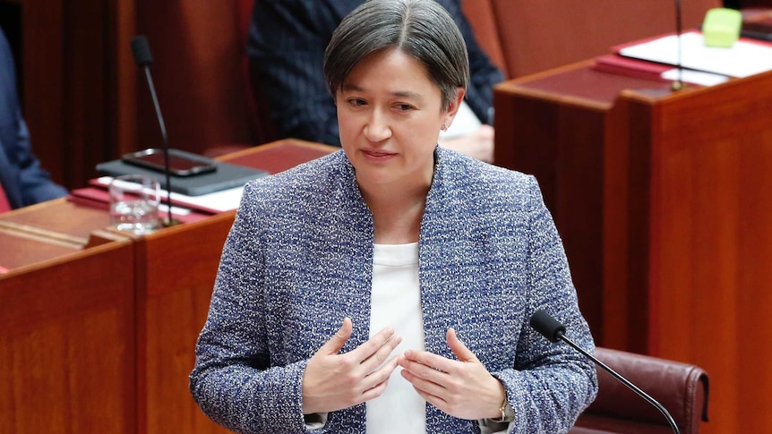Penny Wong stands at the dispatch box and addresses the Senate