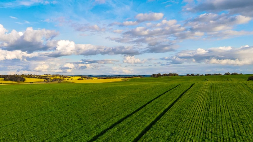 Cherylton Farms