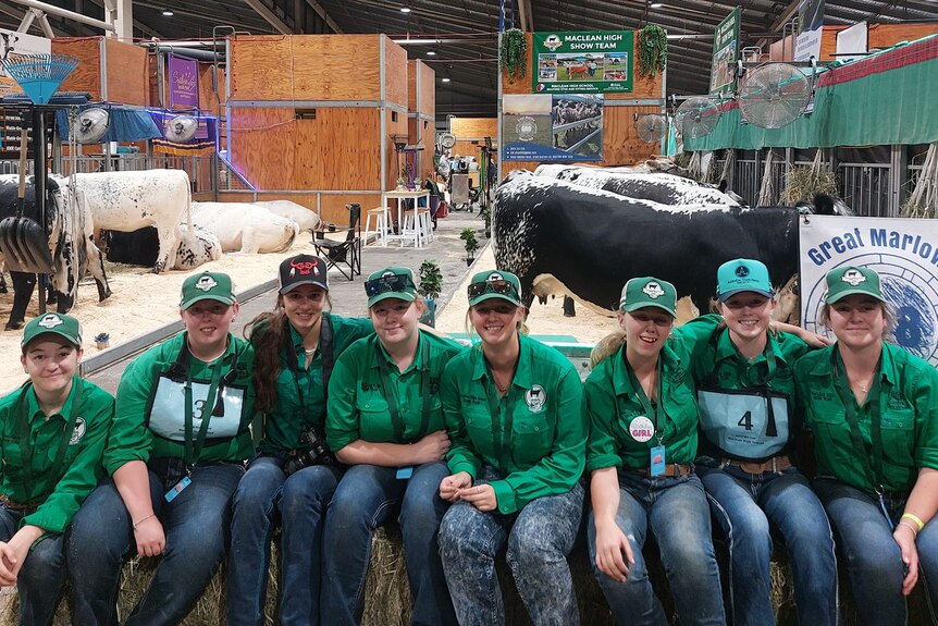 Eight students wearing green shirts sit on a hay bales in front of black and white cattle.