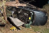A car lies on its side wedged between broken trees and bushes with its roof cut off after crashing.