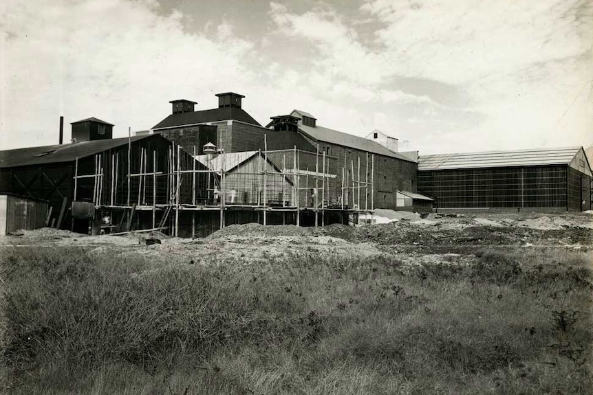 The Union Maltings plant in 1935.