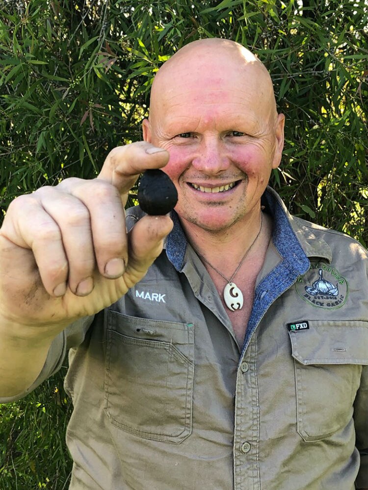Black garlic producers investigate export opportunities as demand