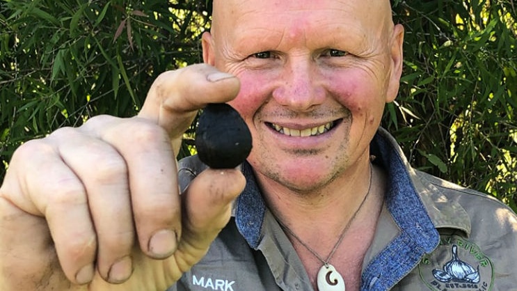 Owner of Snowy River Black Garlic Mark Johnstone holds a bulb of black garlic