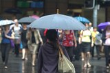 People prepare to cross the road in Brisbane's CBD, during a summer downpour.