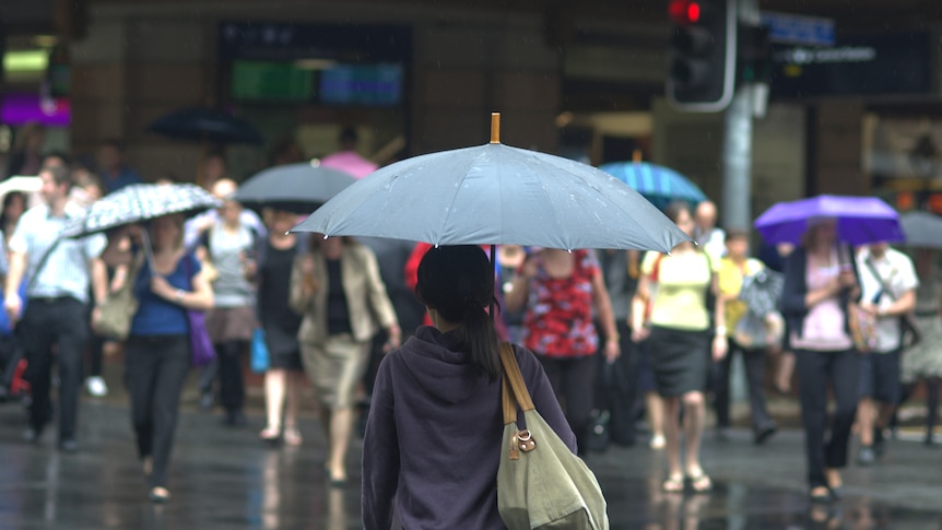 People prepare to cross the road during a summer downpour.