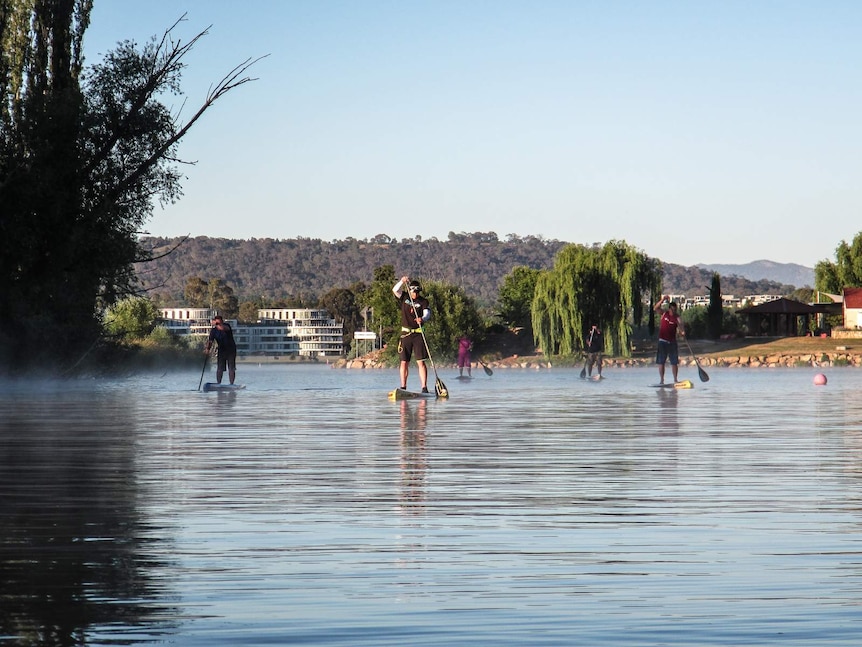 Paddleboarders on Lake Burley Griffin, Canberra.