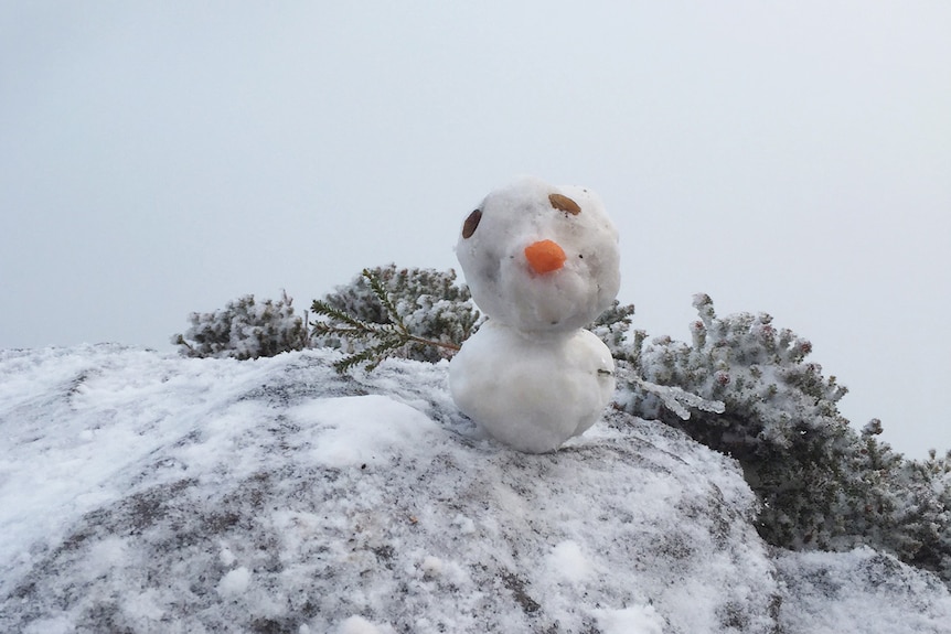 A small snowman made of two snowballs with almonds for eyes and a piece of carrot for a nose, perched on a snowy rock.