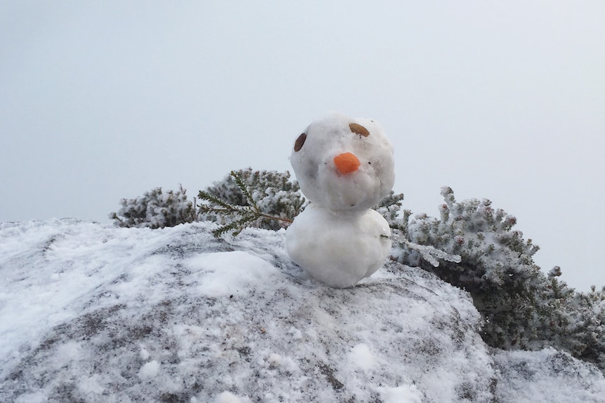 Bluff Knoll snowman