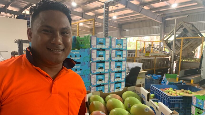 a man in a hi-vis shirt holding some mangoes.