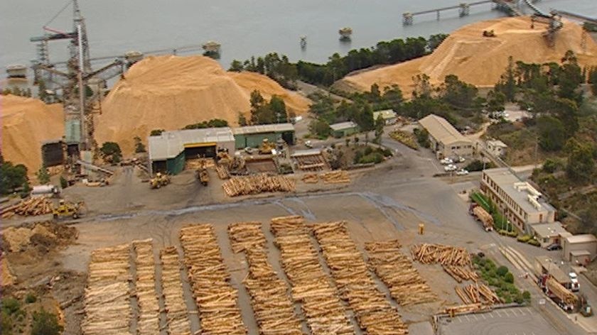 Aerial of Gunns' Longreach woodchip mill next to pulp mill site in Tamar Valley, Tasmania.