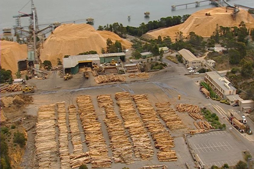 Gunns' Longreach woodchip mill next to pulp mill site in Tamar Valley, Tasmania.