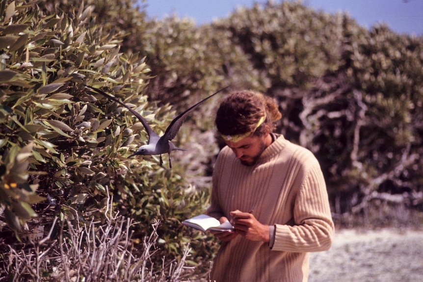 A man in a headband makes notes as a bird flies near his head