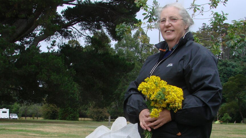 Ragwort Raid coordinator, Jayne Shapter, holding a bunch of the yellow flowering weed.