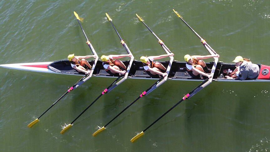 A crew rows under a bridge at Tumbulgum during the Head of the Tweed Rowing Regatta.