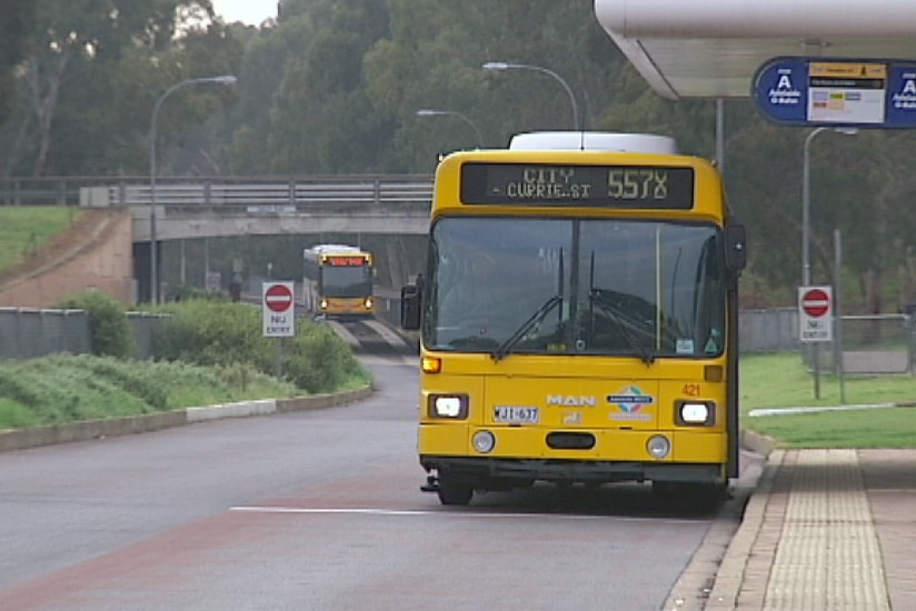 Paradise Interchange buses